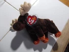 ❤️ Ty® Beanie Baby ❤️  Zeus ❤️ The Moose New Mint w/Tag Protector
