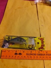Strike King KVD Series 1.5 Deep Summer Sexy Shad.