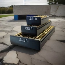 22LR Ammo Storage Box - Multiple Sizes & Colors - Free shipping over $20!