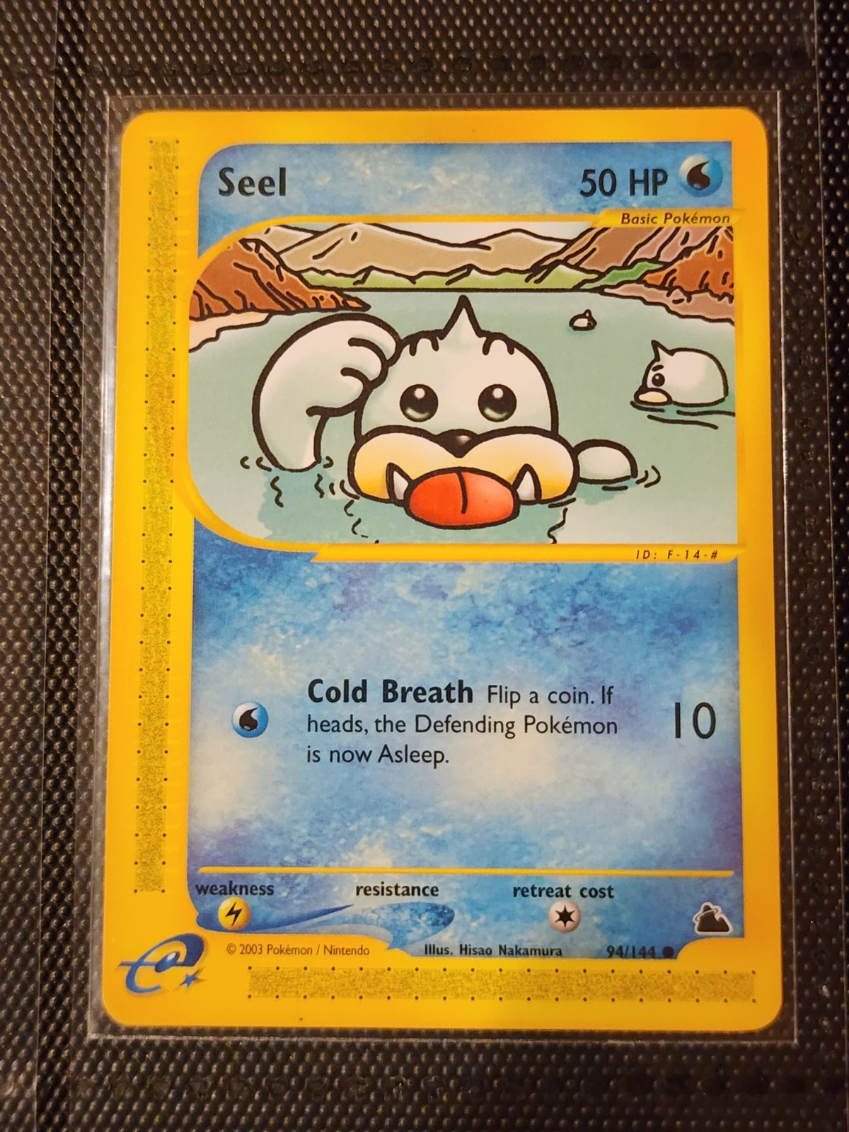 Seel 94/144 English Regular Pokémon Skyridge 2003 NM Common Card
