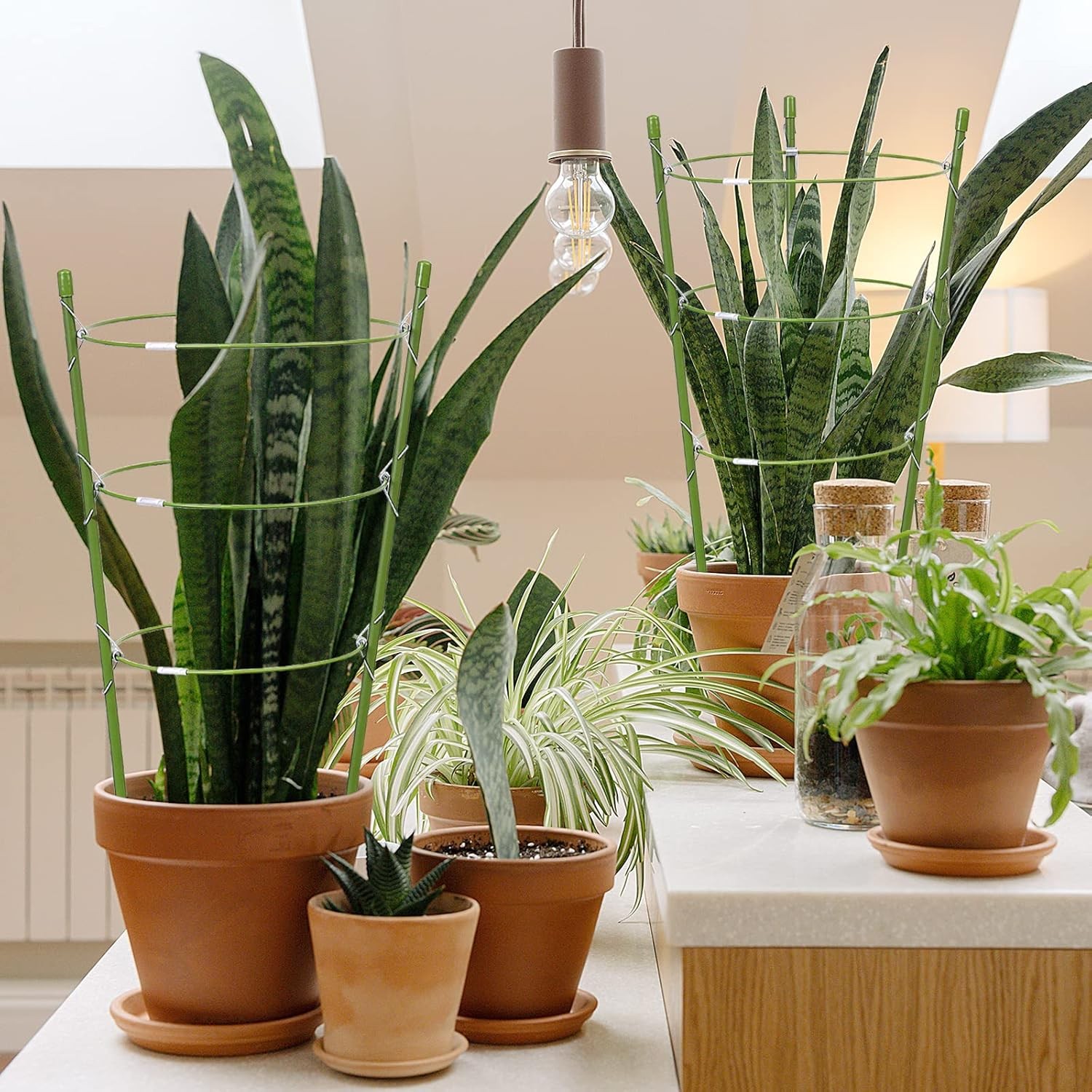 Tomato Cage Plant Support Cages for Garden Climbing Plants 18 inches  4 Pack 