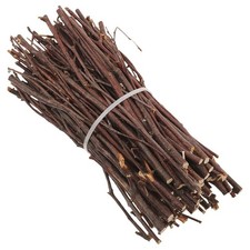 Forniture Diorama Foresta Bastoncini Artigianali Ramoscelli Tronchi di Betulla Decorazione