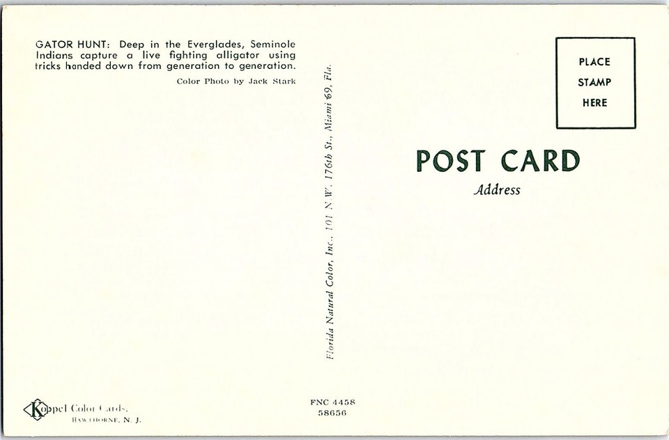 Chrome Everglades National Park Near Miami Florida FL 10/11 AH9160 eBay