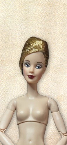 Barbie A Tribute to Fashion #2 Model Muse Doll Outfit Cape w