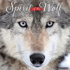 Spirit of the Wolf 2026 12 X 12 Wall Calendar (Bookbook - Detail Unspecified)