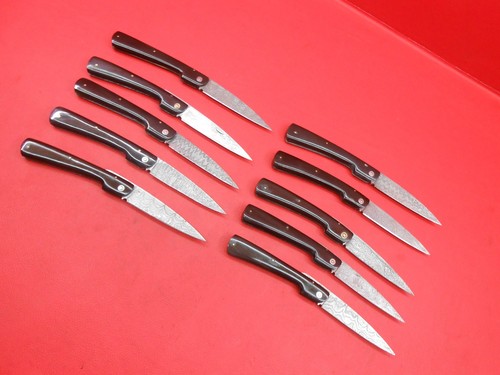 Cuchillo Carpeta de Fricción Damasco Hecho a Mano 10 Piezas Mango de Búfalos S586 - Imagen 7 de 11