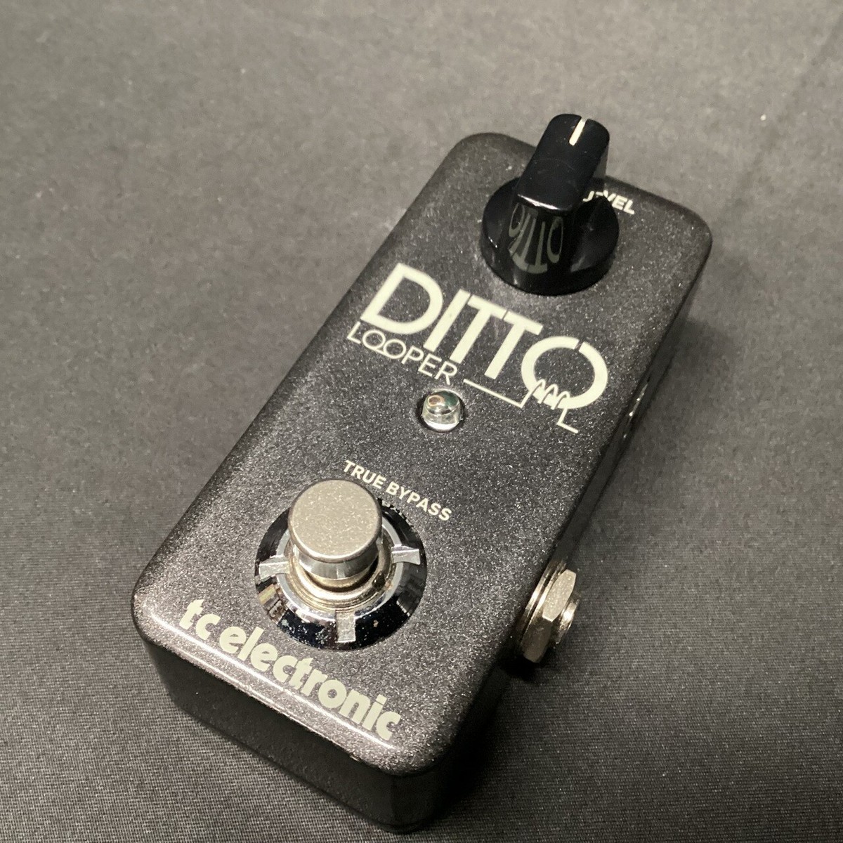 tc electronic Ditto LOOPER o4419 | eBay