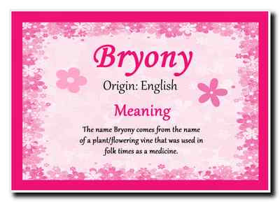 Bryony personalisierter Jumbo-Magnet mit Namen Bedeutung