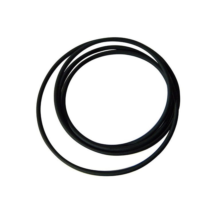 cinghia di ricambio per rulli parabolici Elite allenamento bici