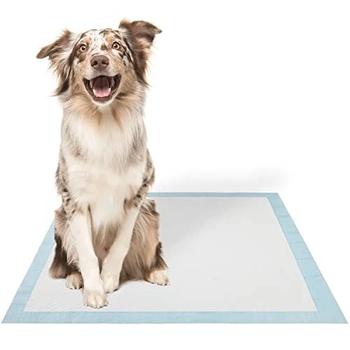 Best puppy pads for cheap dogs