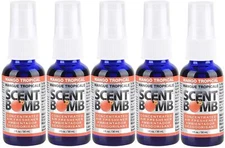 Scent Bomb 100% Oil Based Concentrated Air Freshener Spray, Mango Tropical, 5 PK