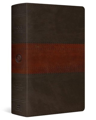 ESV Large Pr... Imitation Leather   Large Print, May 29, 2020 Imitation Leather