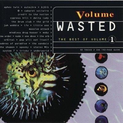New Order ''Wasted'' Björk, Underworld, Aphex Twin, Moby, Massive Attack, 2 CD Box