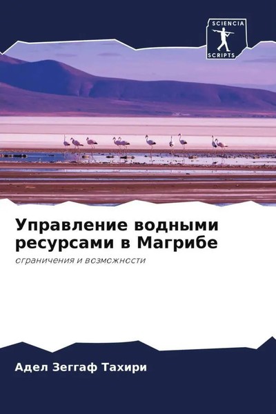 Adel Zeggaf Tahiri | Uprawlenie Wodnymi Resursami W Magribe | Taschenbuch (2022)-image