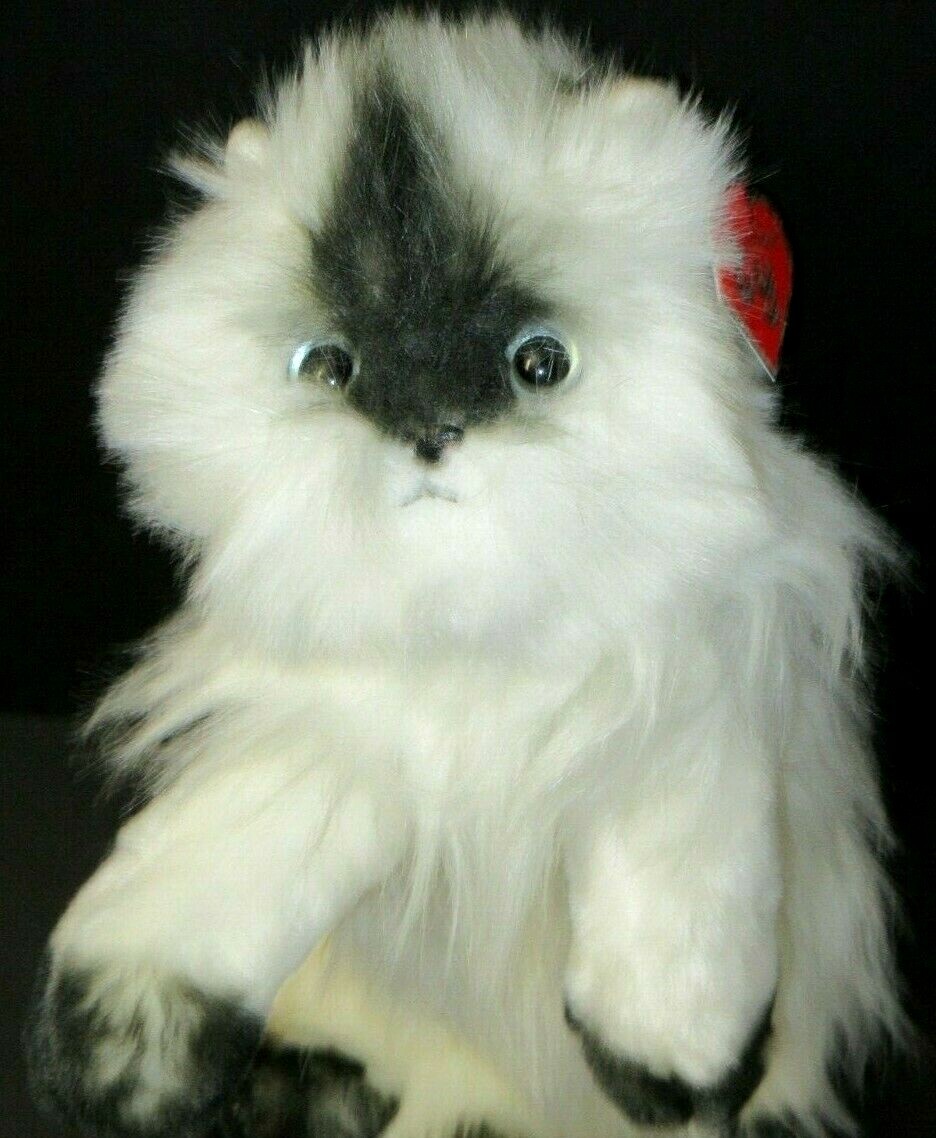 vampire costume for small dog