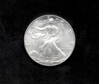 2001 American Silver Eagle Uncirculated .999 Fine Silver - GREAT INVESTMENT!