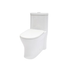 Ceramic One Piece Toilet, 12" Rough-In, 1.22/1.6 GPF Dual Flush