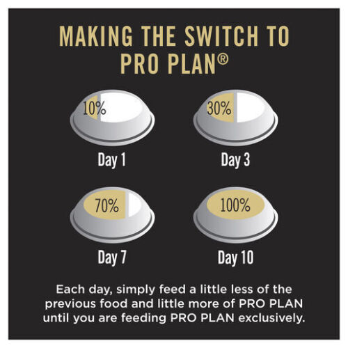 Pro Plan Essential Health Large Adult Dog 2.5kg Chicken Dry Dog Food Canine - Picture 7 of 12