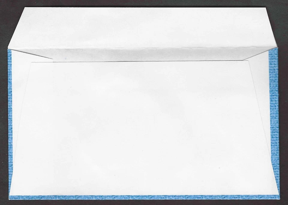 #3998-3999 (3999b) 39/63c Wedding Doves BGC FDC Bkt Pair w/Vert Gutter - Image 2 of 2