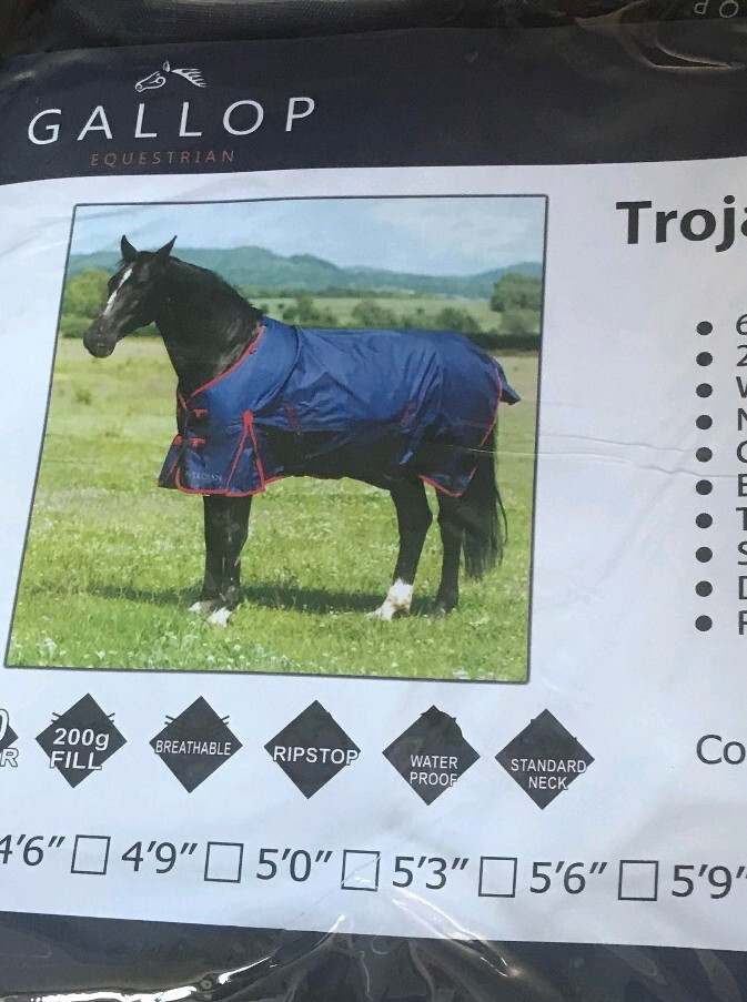 200g Horse Turnouts Rug eBay
