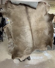 Beautiful Shiny Thick Cow Hide Professionally Tanned