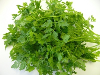 Curled Chervil Seeds – NON-GMO, Heirloom, Fast Growing, Full Sun, USA Garden Fresh