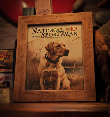 Vintage Yellow Lab Dog Poster Art Print 8X10 Duck Hunting Fishing Wall Decor