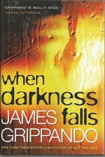 when darkness falls James Grippando hardcover Large print new