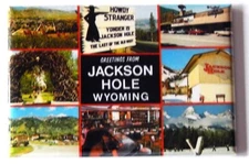 Greetings from Jackson Hole Wyoming FRIDGE MAGNET travel souvenir "style B"