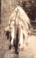 Northern Minnesota~Afternoon's Catch of Fish On A Stringer~RPPC c1934 Postcard