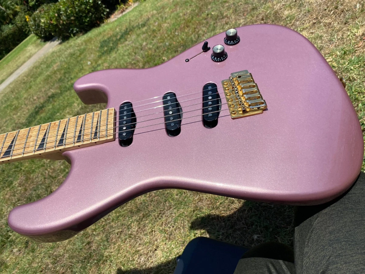 Ebay great 2024 guitar build off
