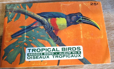 Tropical Birds Tea Cards Full Set of 50 Brooke Bond Tea Canada 1961 Red Rose