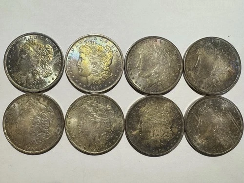 Various Morgan Silver Dollars, Ranging From 1889-1904, Self Graded
