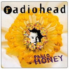 Radiohead Pablo Honey Poster Wall Art Home Decor Photo Prints 16, 20, 24"