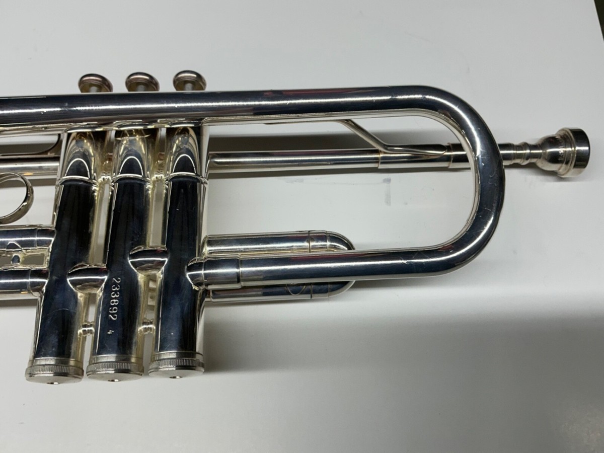 管楽器・吹奏楽器 GIARDINELLI 10V NEW YORK VINTAGE GIARDINELLI NEW