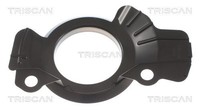 Deflektor, Bremsscheibe Triscan 8125 43112 FüR OE 51755-1Y700
