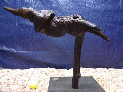 X-Large Driftwood Mounted on Slate 17''x18''x08'' Aquarium Reptile Natural Art