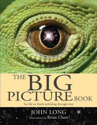 John Long Brian Choo The Big Picture Book (Hardback)