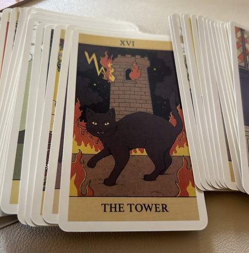 78 Cat Tarot Cards Cats Rule The Earth! Great Gift Idea - Picture 5 of 6