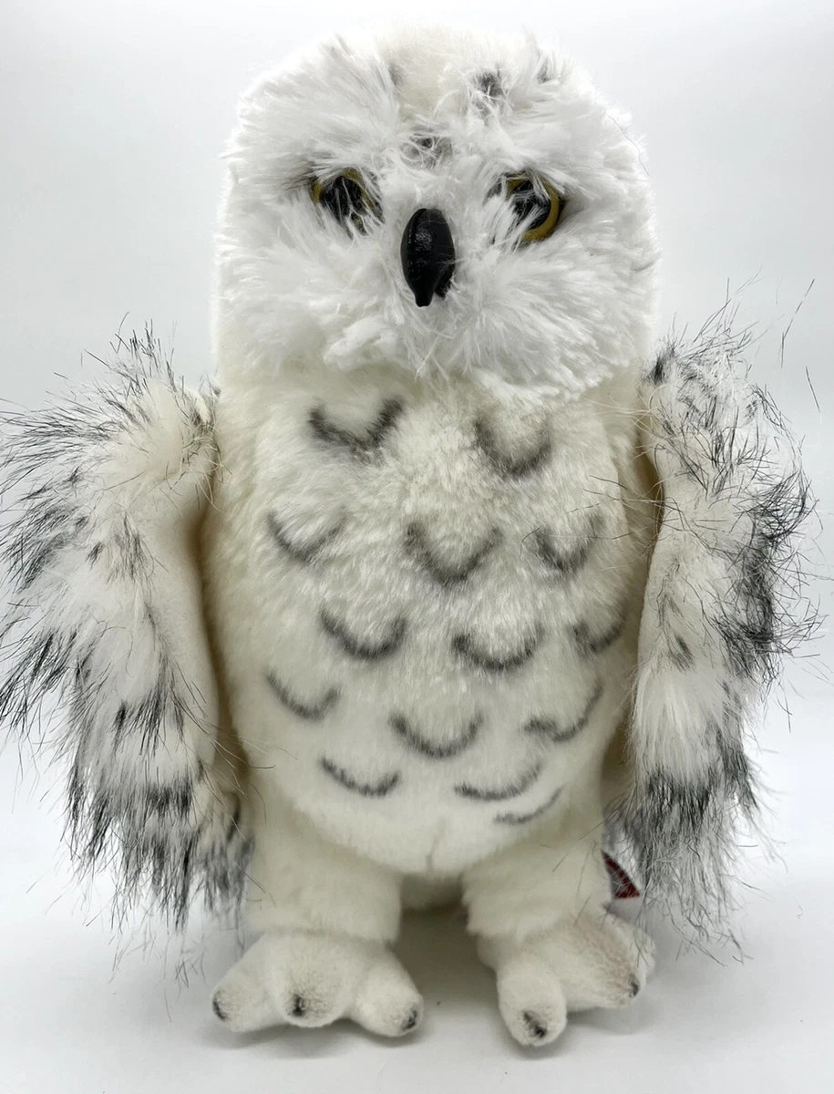 Douglas 2024 snowy owl