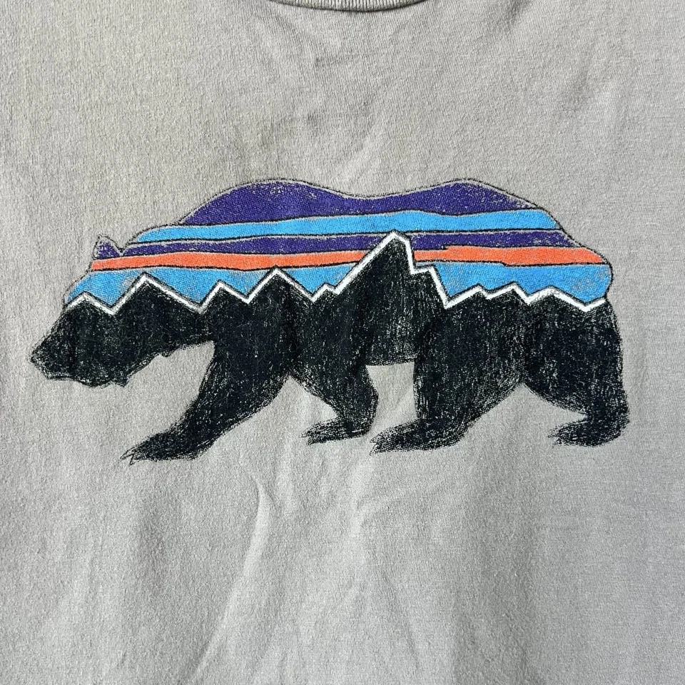 Camiseta Patagonia Fitz Roy Bear Algodón Orgánico Delgada M Gris Foto 2 de 4