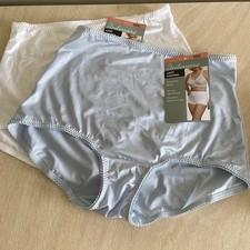 2 Pair Underscore Light Control Nylon Panties Briefs Size 2XL Blue White Smoothe