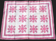 SUPER GRAPHIC ANTIQUE APPLIQUE QUILT GREAT QUILTING DOUBLE BORDER