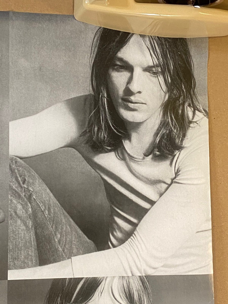 RARE Pink Floyd Vintage Band GROUP PORTRAIT Poster 21S19 | eBay