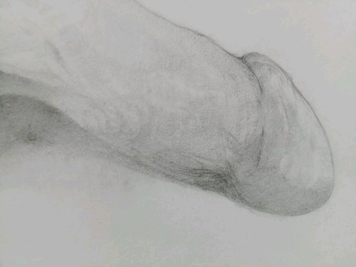 Erotic Fine Art Pencil Penis Drawing Male Genitalia Flaccid Phallus CENSORED - Picture 10 of 24