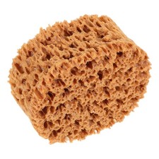 Painting Sponge Tool Seaweed Sponge Brush for Watercolor Art and Craft