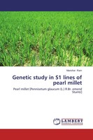 Manohar Ram | Genetic Study In S1 Lines Of Pearl Millet | Taschenbuch | Englisch