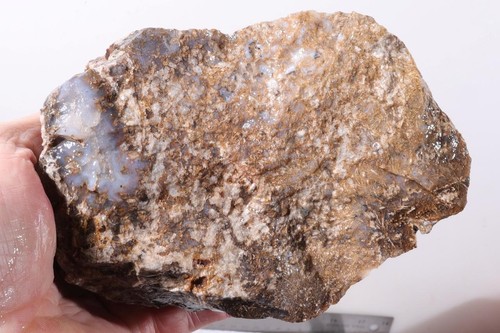 Sonora Sagenite Agate lapidary 2 lb 7 oz. rough