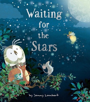 Waiting for the Stars by Jonny Lambert Hardcover Book