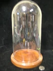 VINTAGE GLASS DOME DISPLAY FOR DOLLS WATCHES COLLECTABLES ETC WITH WOOD BASE